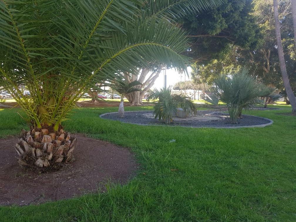 Bahamas Beside The Park And 300m To The Apartment