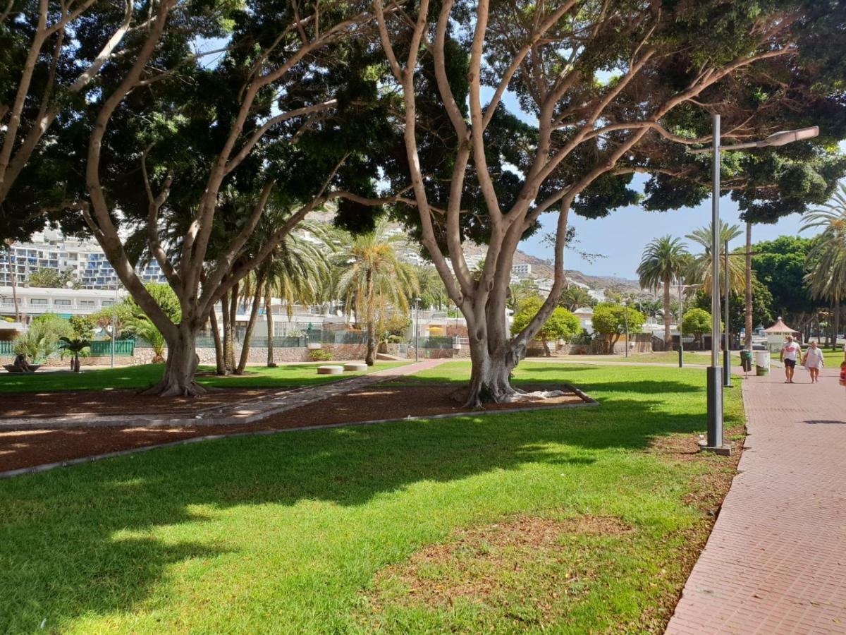 Bahamas Beside The Park And 300m To The Apartment